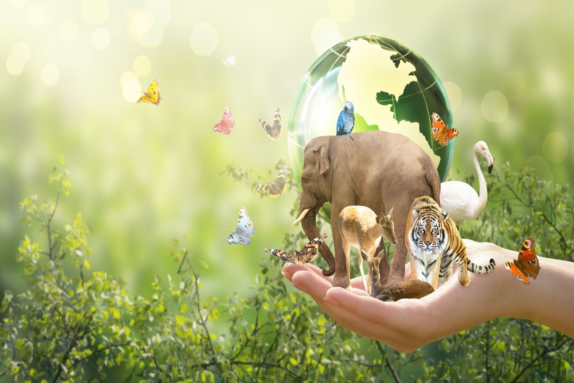 A person is holding a globe with animals inside of it.