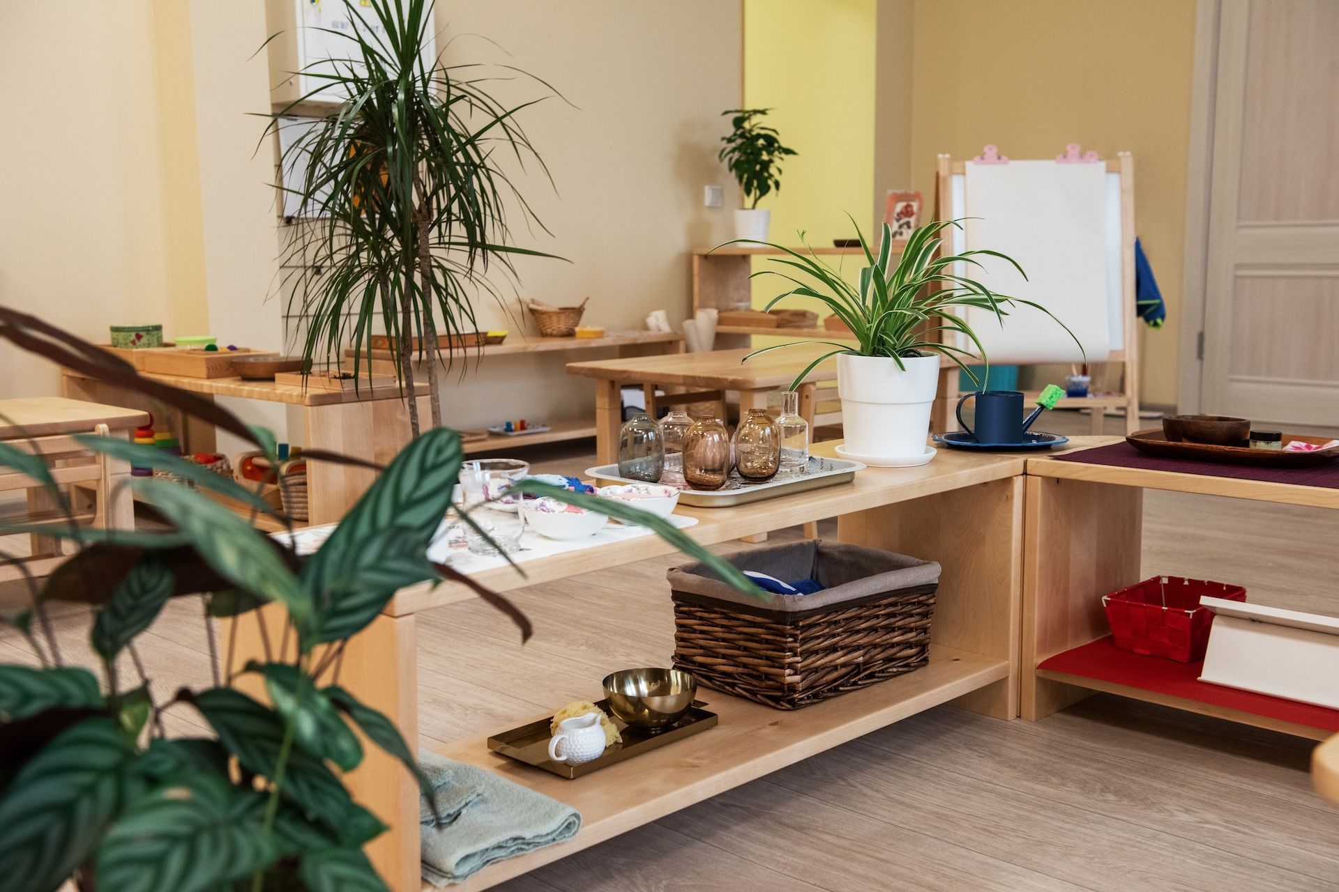 A Montessori classroom with a lot of shelves and a plant in the foreground.