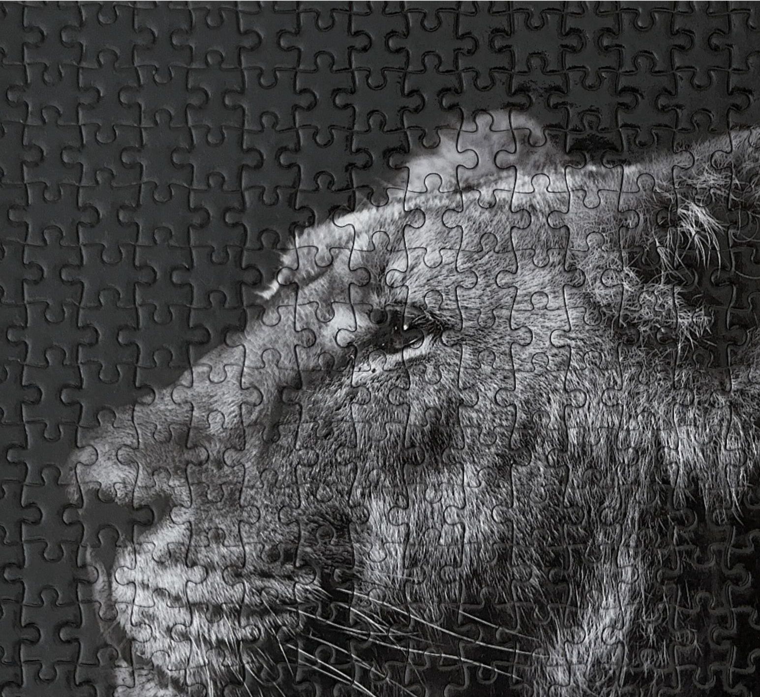 A black and white photo of a lion made of puzzle pieces.
