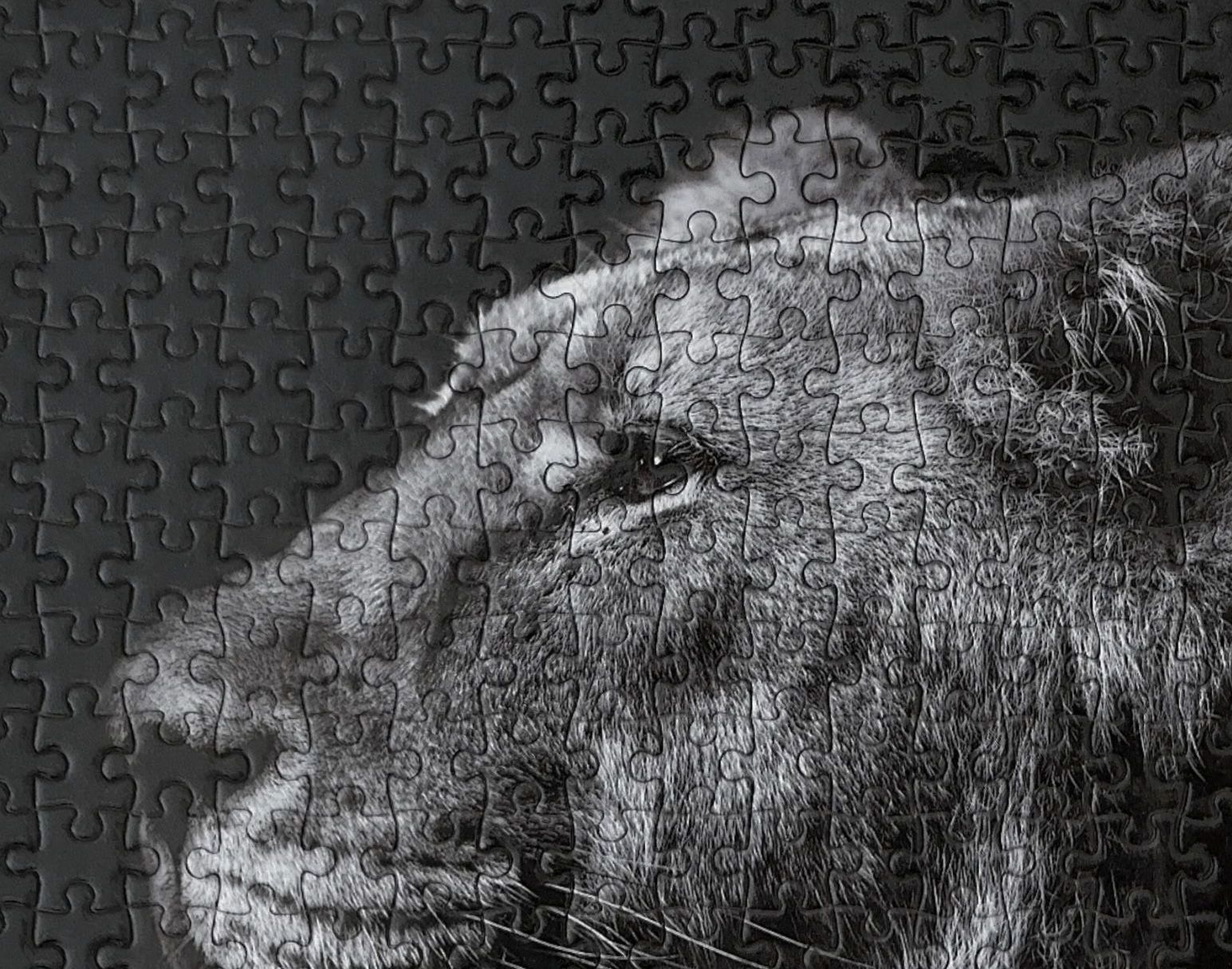 A black and white photo of a lion made of puzzle pieces.