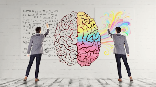 Two people are drawing a brain on a whiteboard.