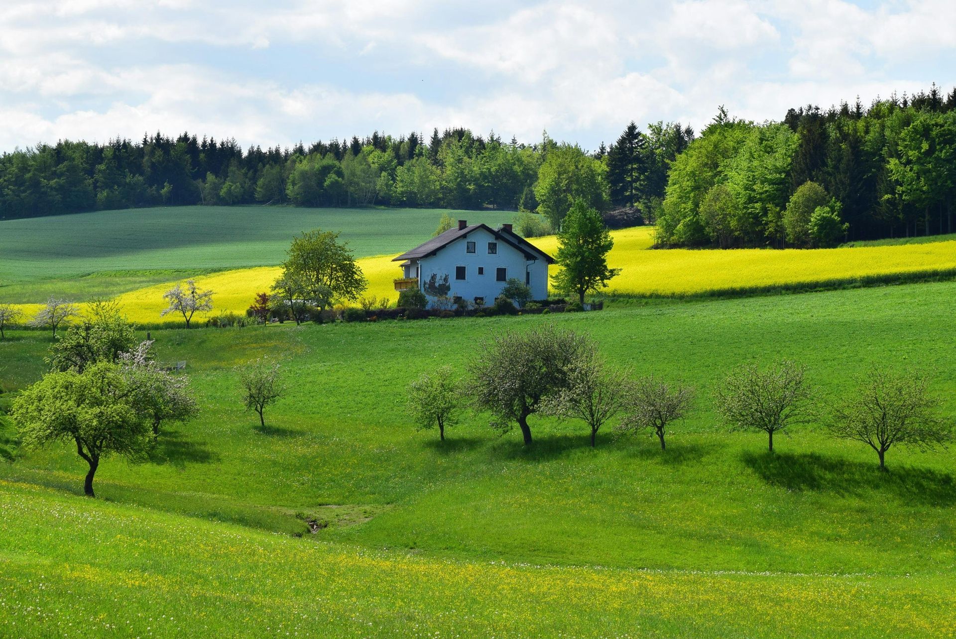 A house sits in the middle of a lush green field