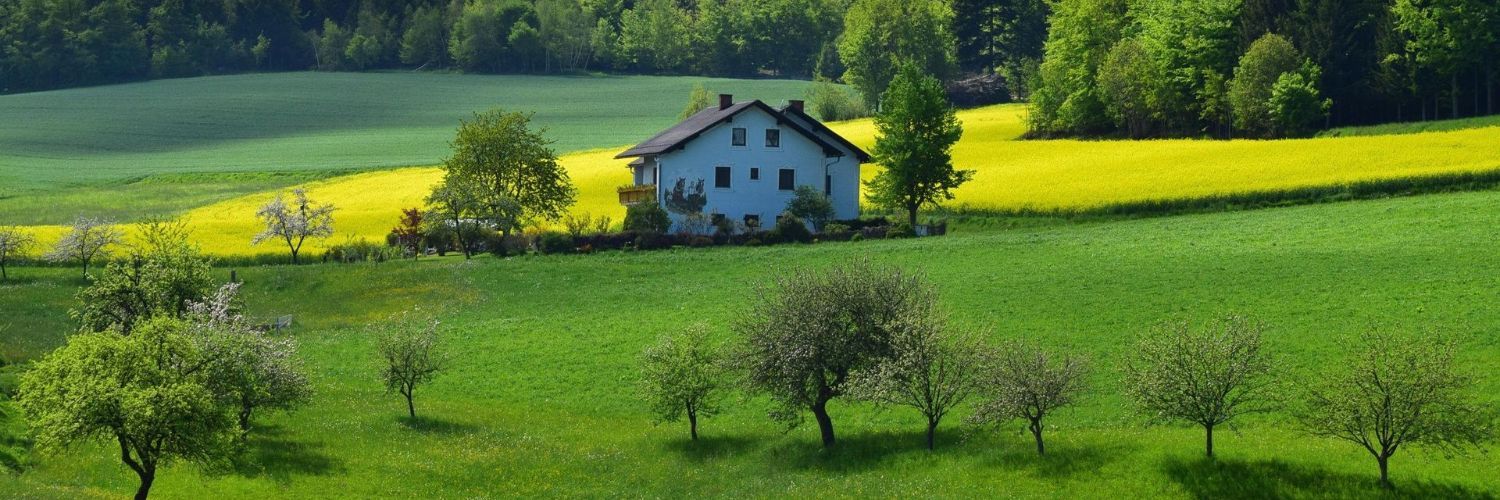 A white house is sitting in the middle of a green field surrounded by trees.