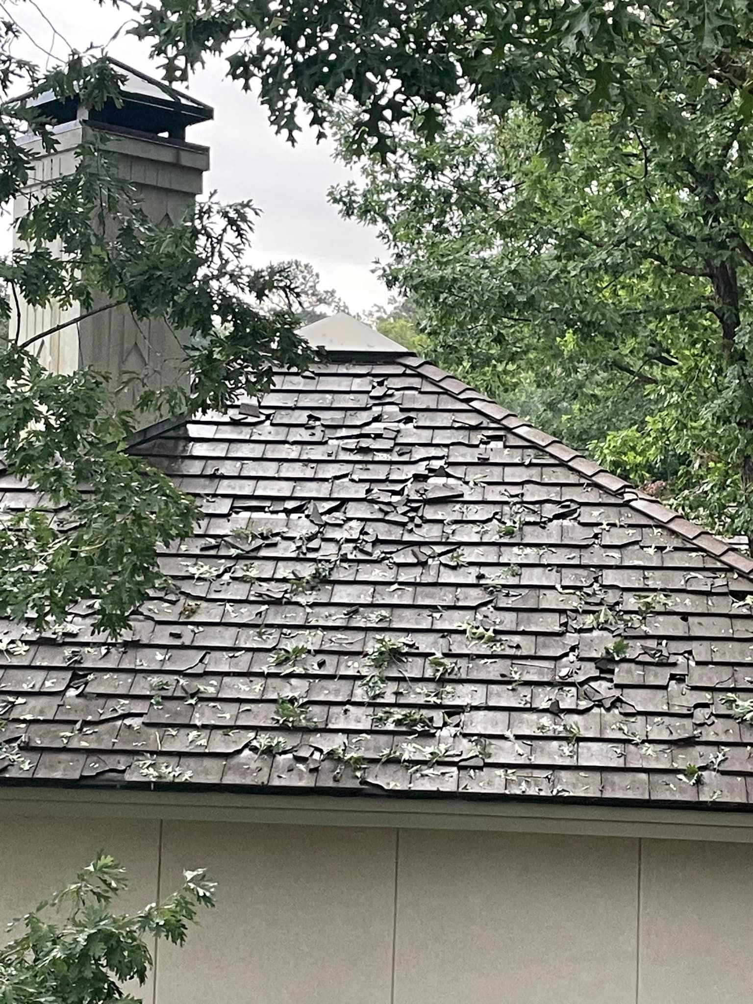 a close up of a roof with a chimney and trees in the background .