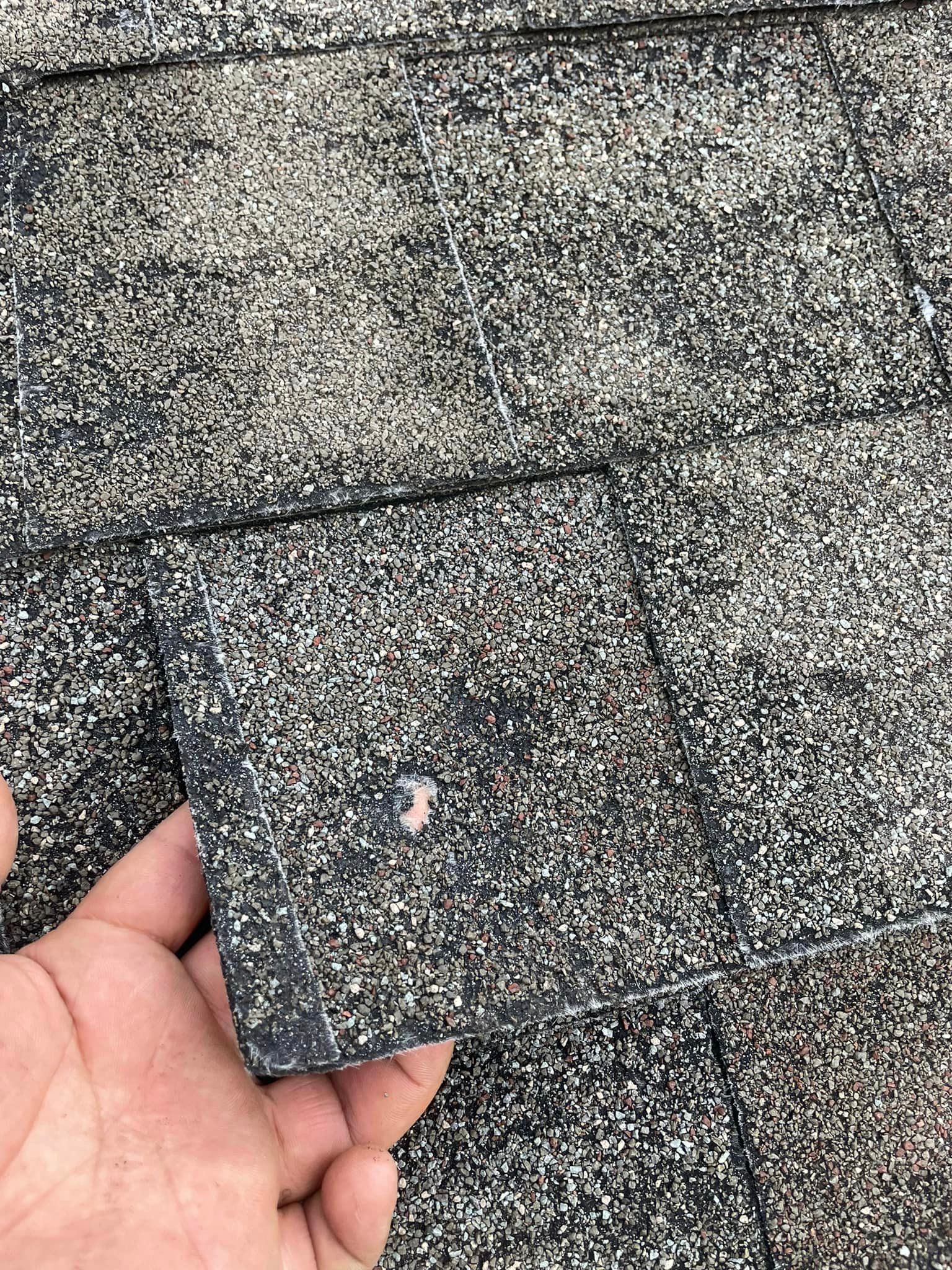 a person is holding a piece of shingles in their hand .
