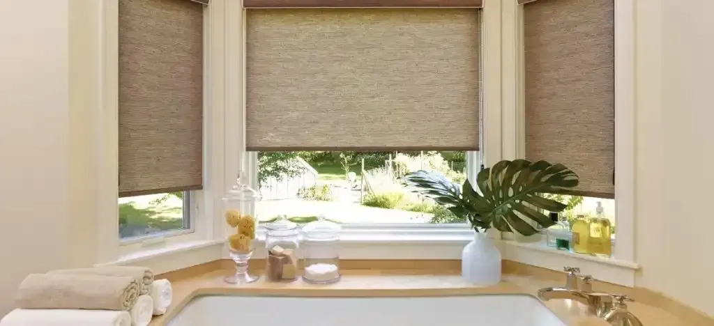 Bathroom window with blinds, plants, and toiletries on a countertop.