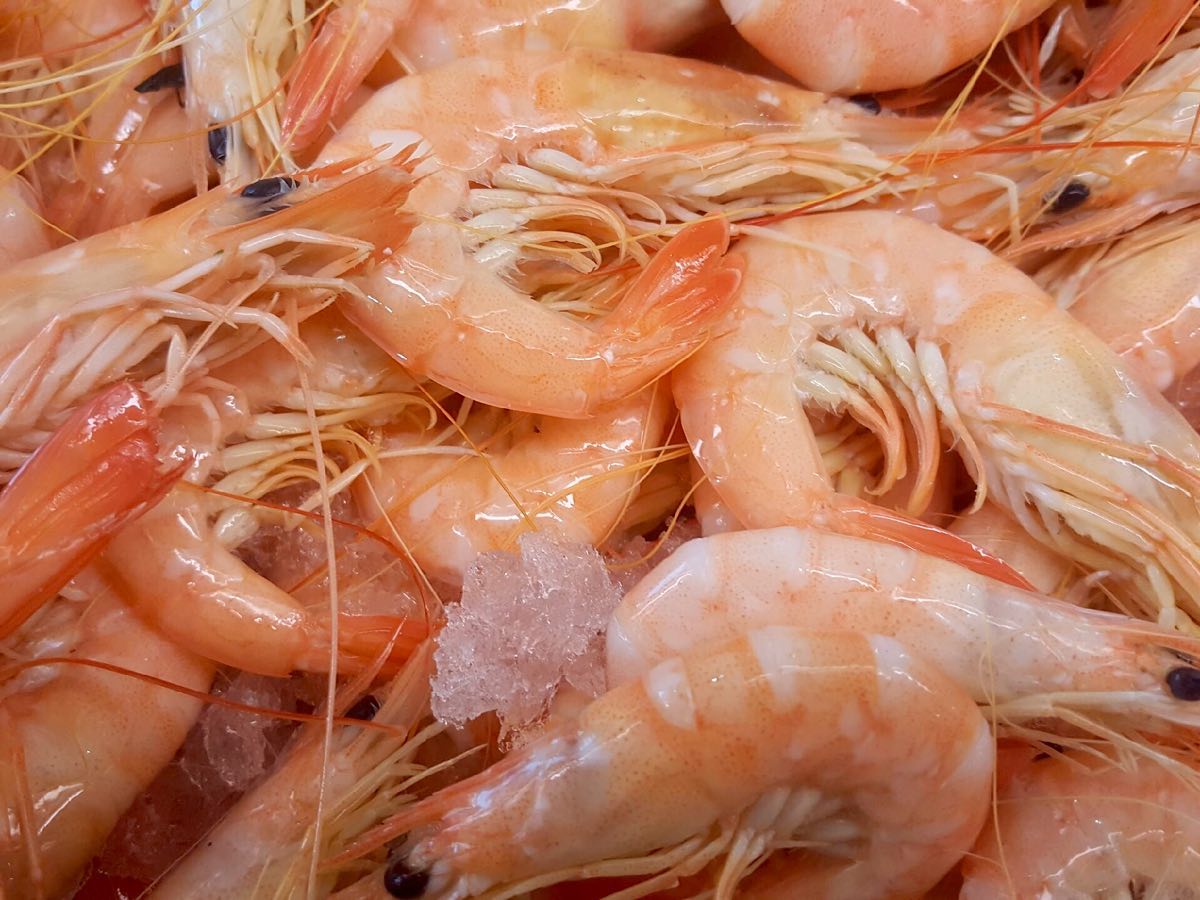 Heap of fresh shrimps in store