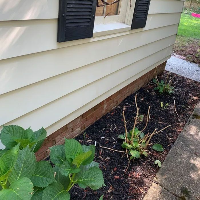Exterior view of a house with light-colored siding, black shutters, and a brick foundation with mulch and plants.