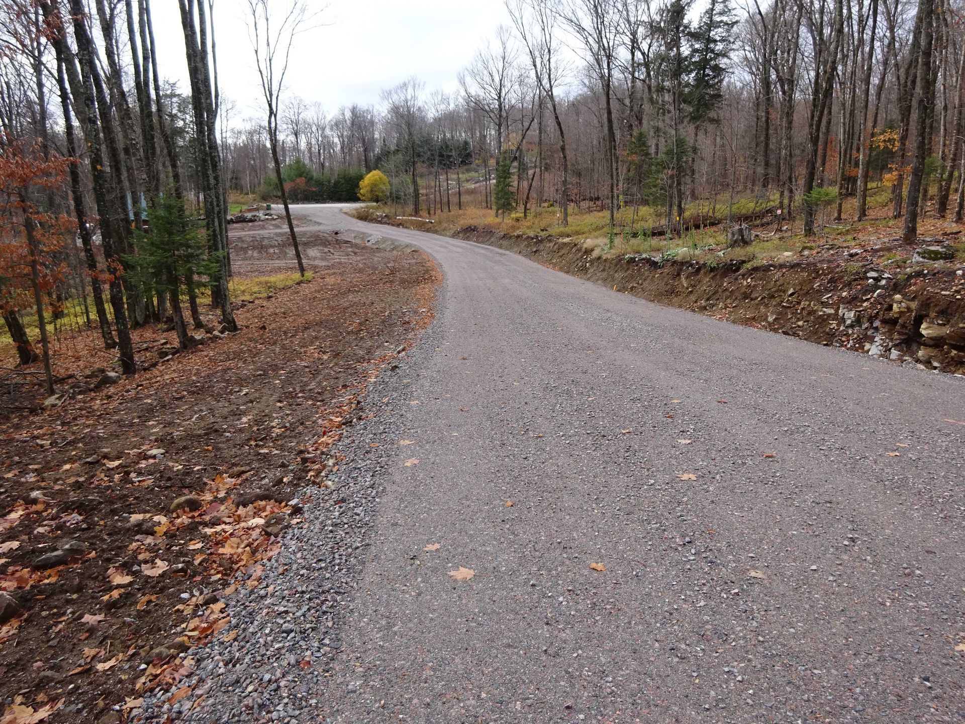 Un chemin de gravier serpente à travers une forêt jonchée de feuilles mortes.