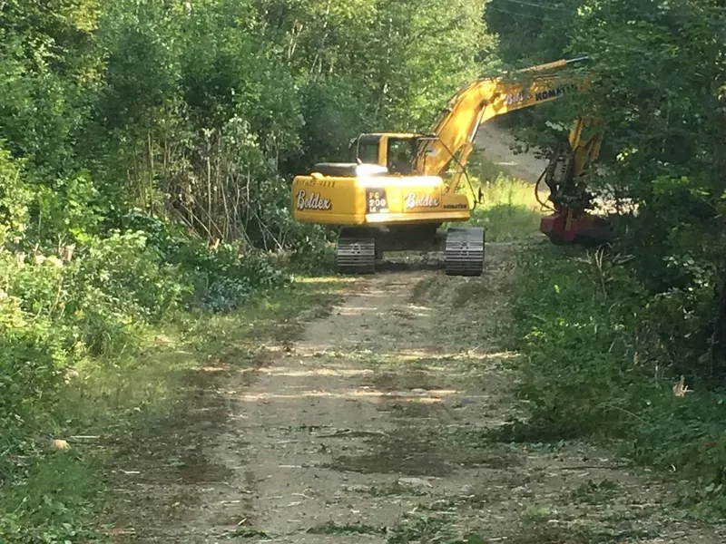 Une pelleteuse jaune dégage la végétation envahissante sur un chemin de terre. Des arbres verts encadrent la scène.