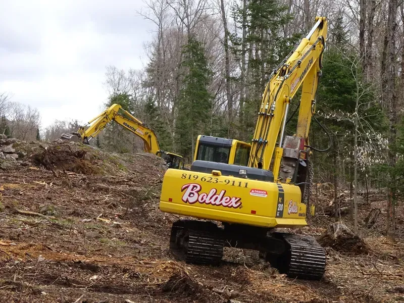 Deux excavatrices jaunes défrichent un terrain dans une zone boisée.