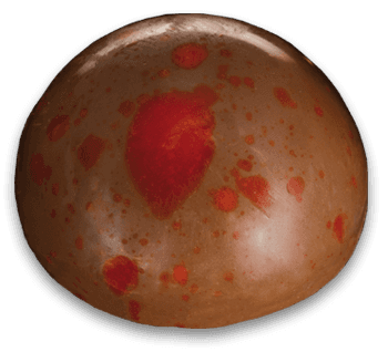 Jivara-Lactee Praline