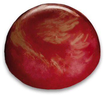 Haselnuss-Nougat-Kirsch Praline