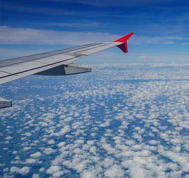 The wing of Filed in the air