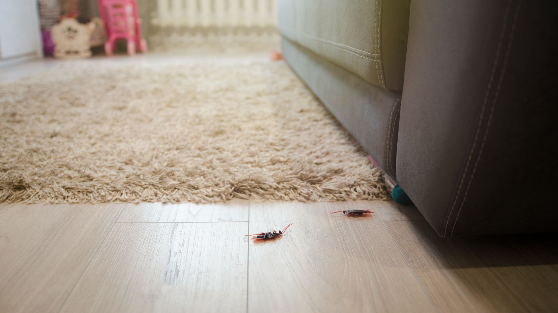 Two cockroaches are laying on the floor next to a couch.