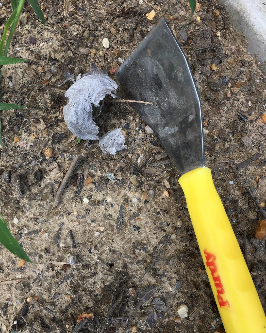A yellow spatula is laying on the ground next to a mouse.