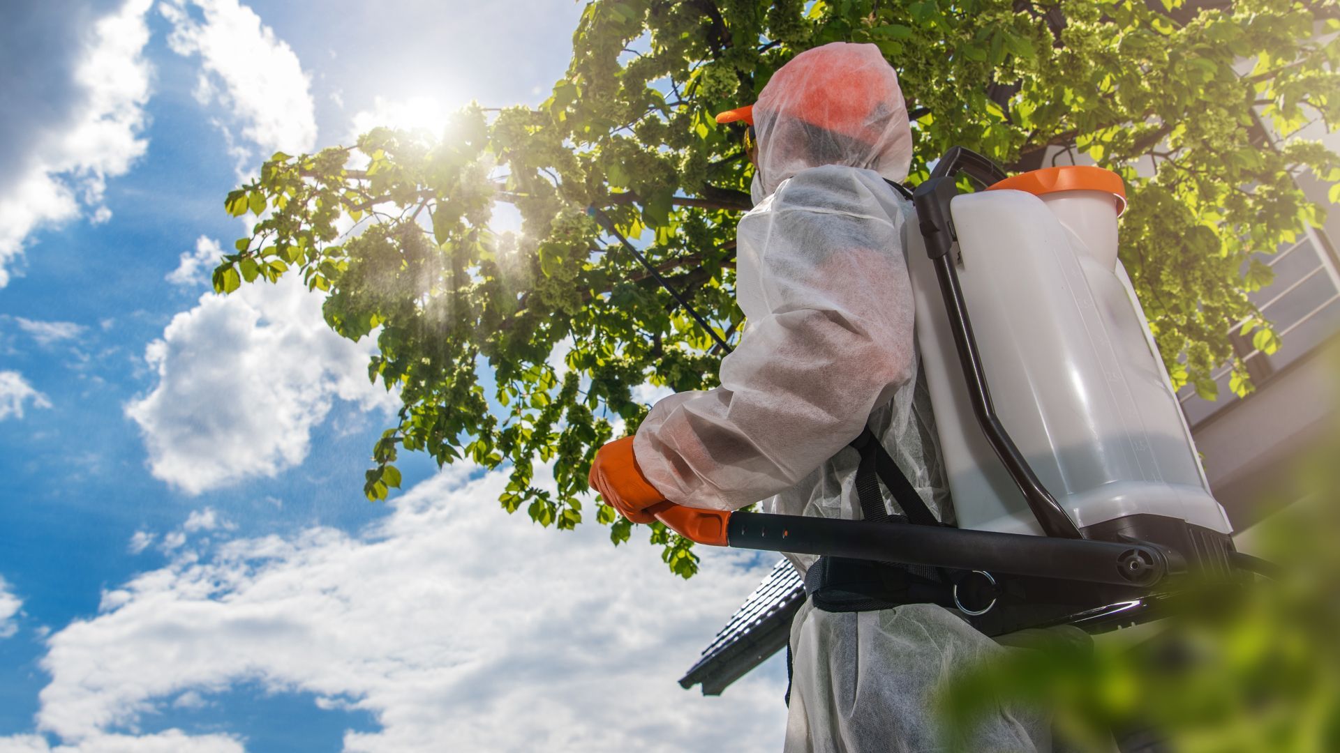 A man in a protective suit is spraying a tree with a sprayer.