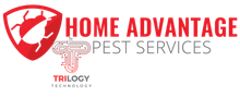 Home Advantage Pest Services