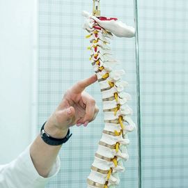 doctor pointing at example of a spine