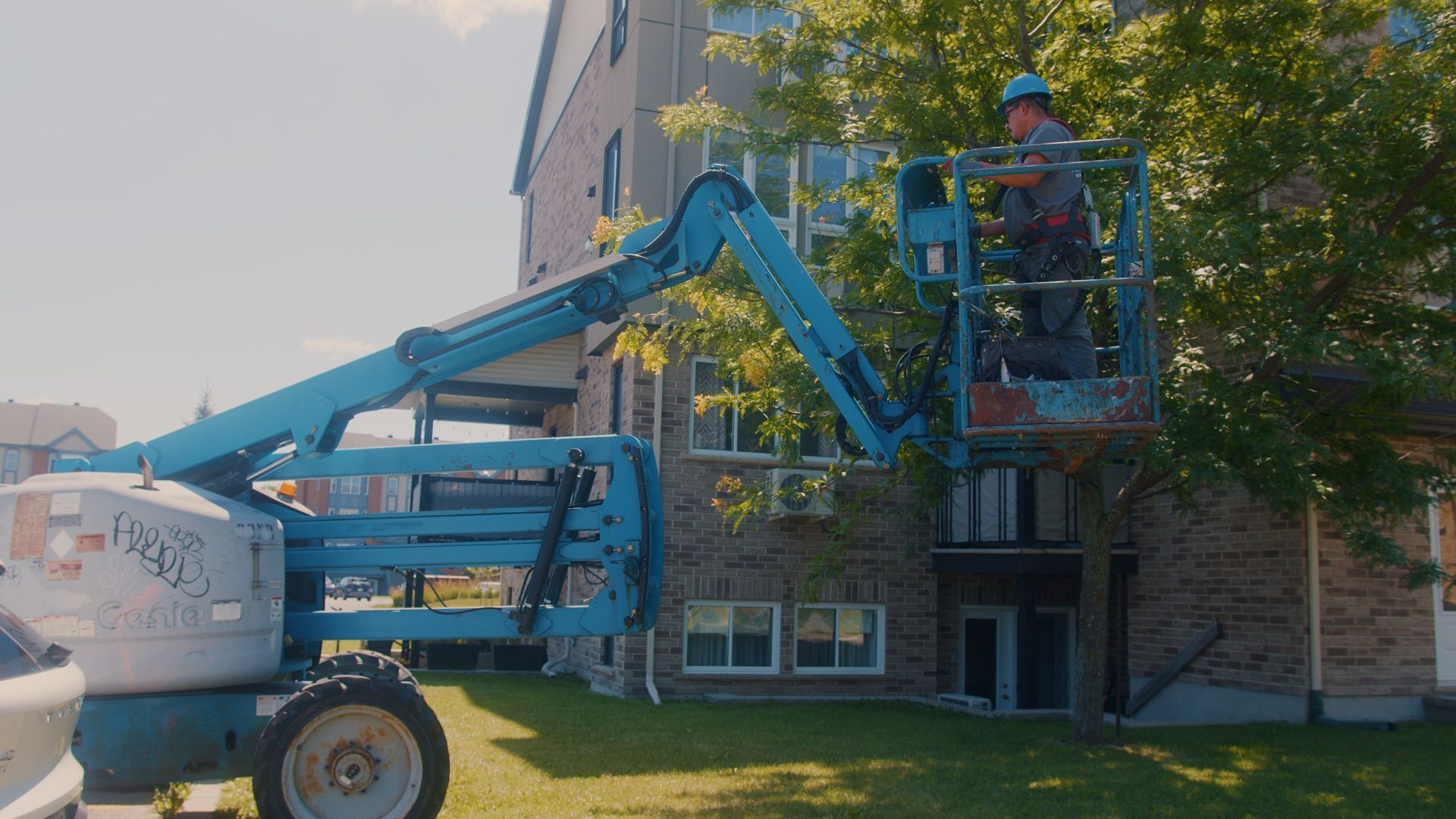 Man in lift basket trimming tree near a building on a sunny day.