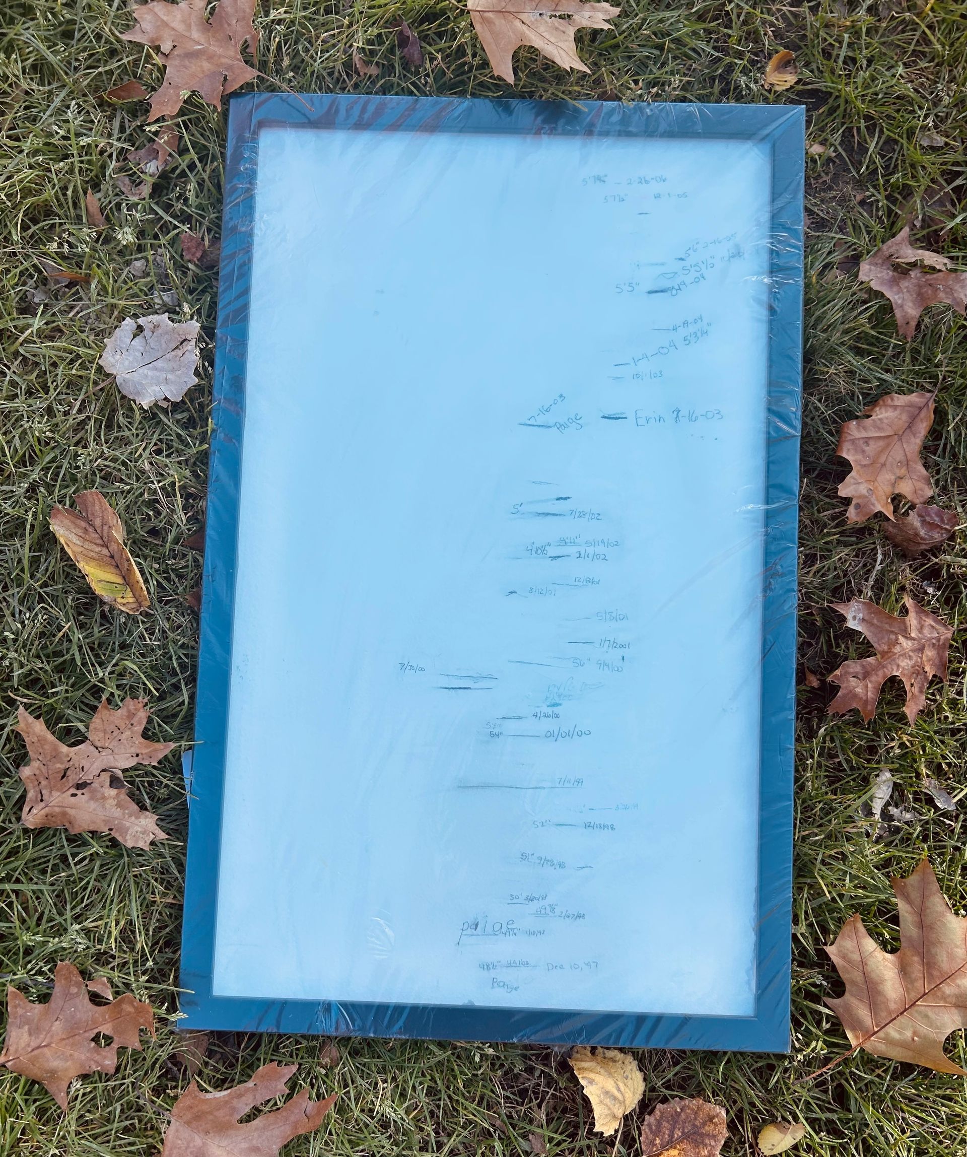 A framed white board wrapped in plastic lies on a grassy area surrounded by fallen leaves.