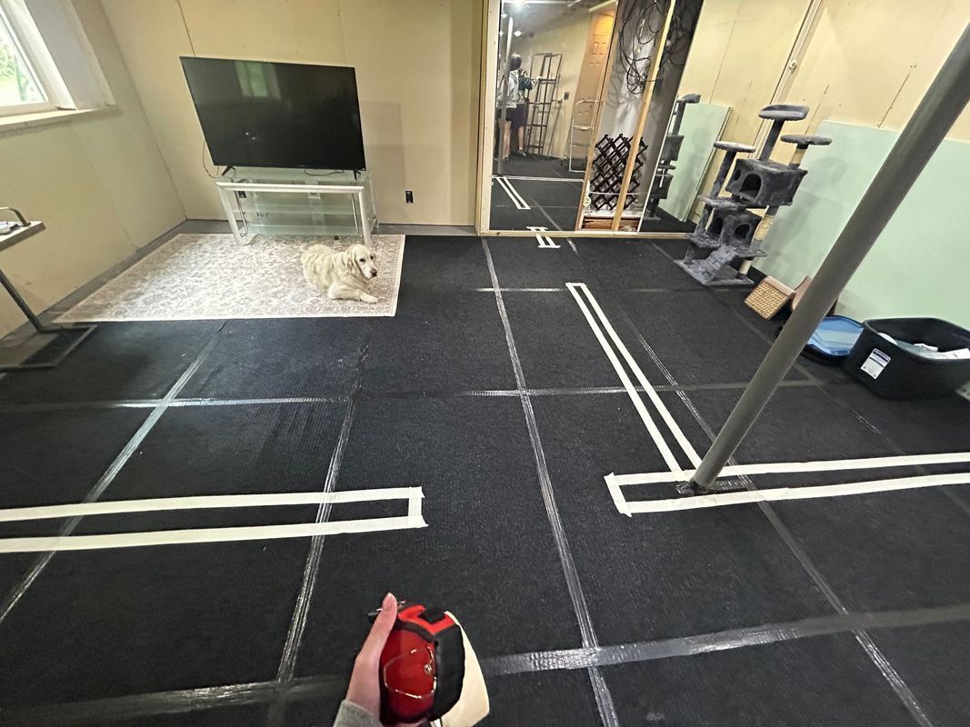 A person holds a red object in a room with a white-taped grid floor, a television, and a dog resting on a rug.