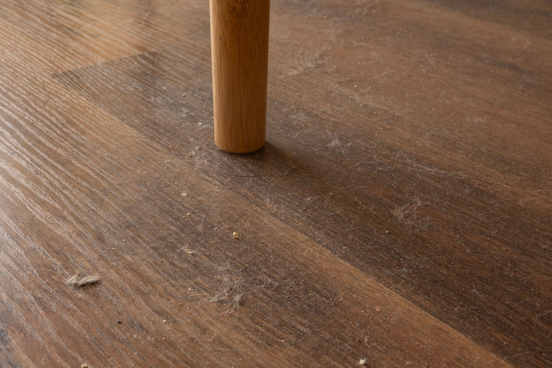 A wooden chair leg resting on a dark wood-look floor covered in dust and debris.