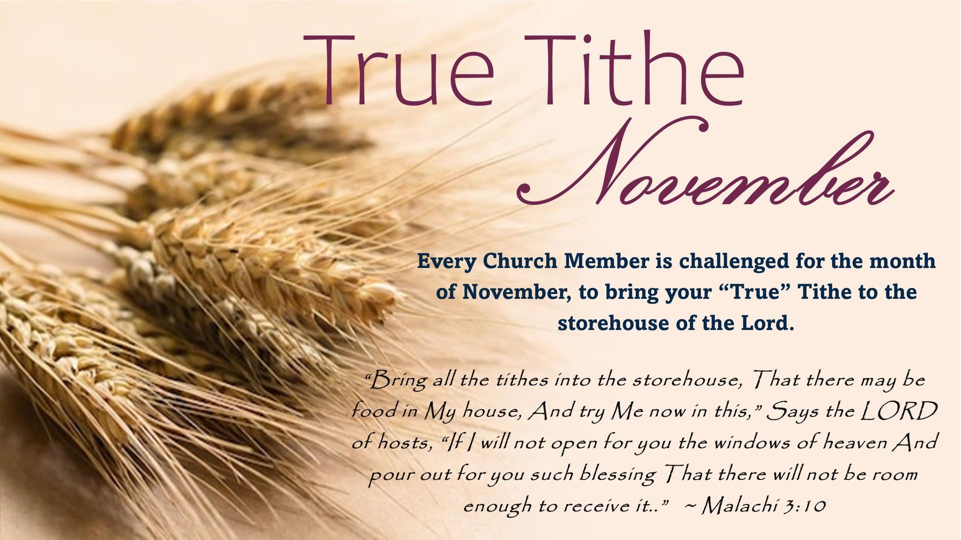 Promotional graphic for 