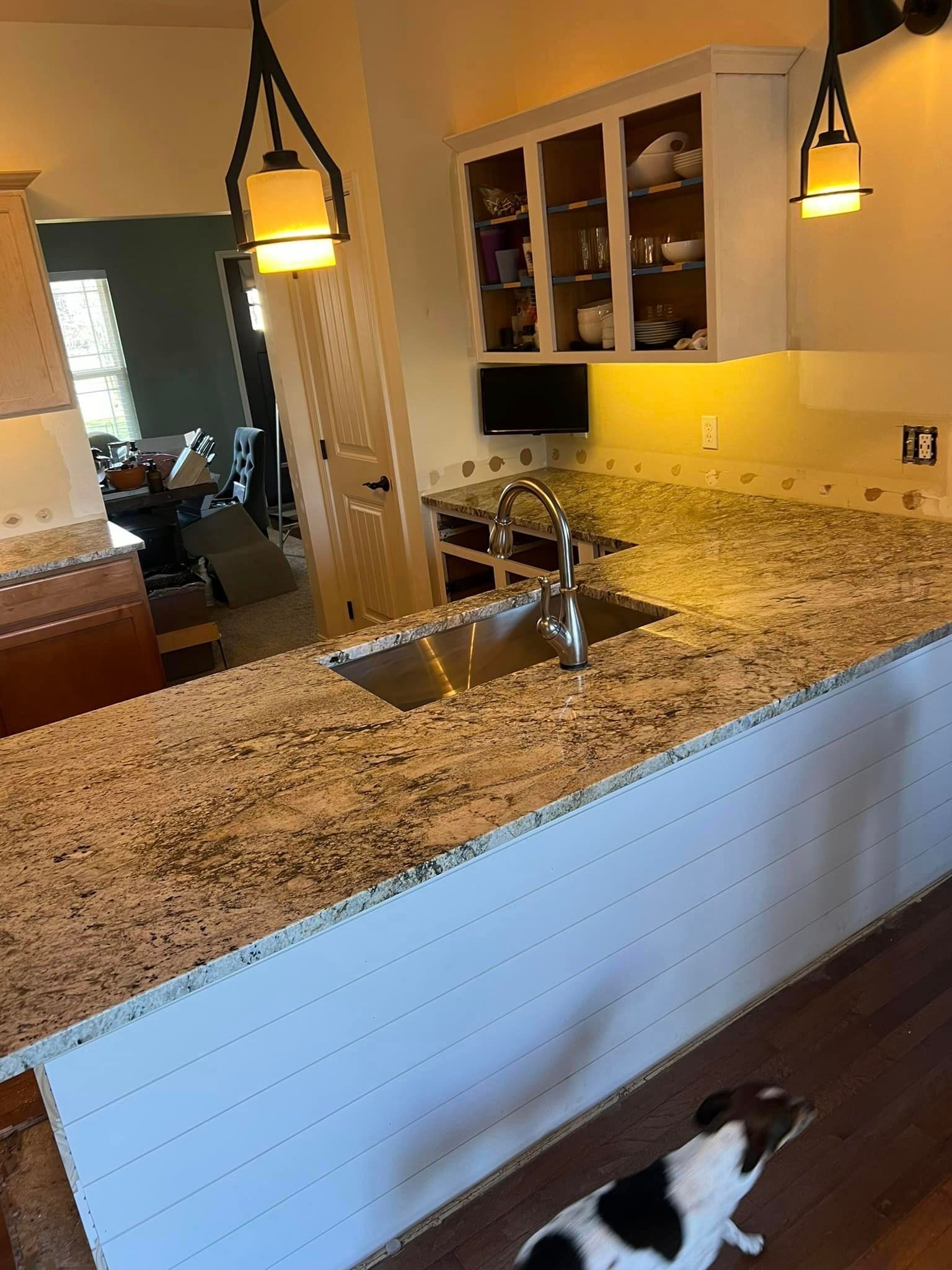 A dog is standing in a kitchen next to a sink.