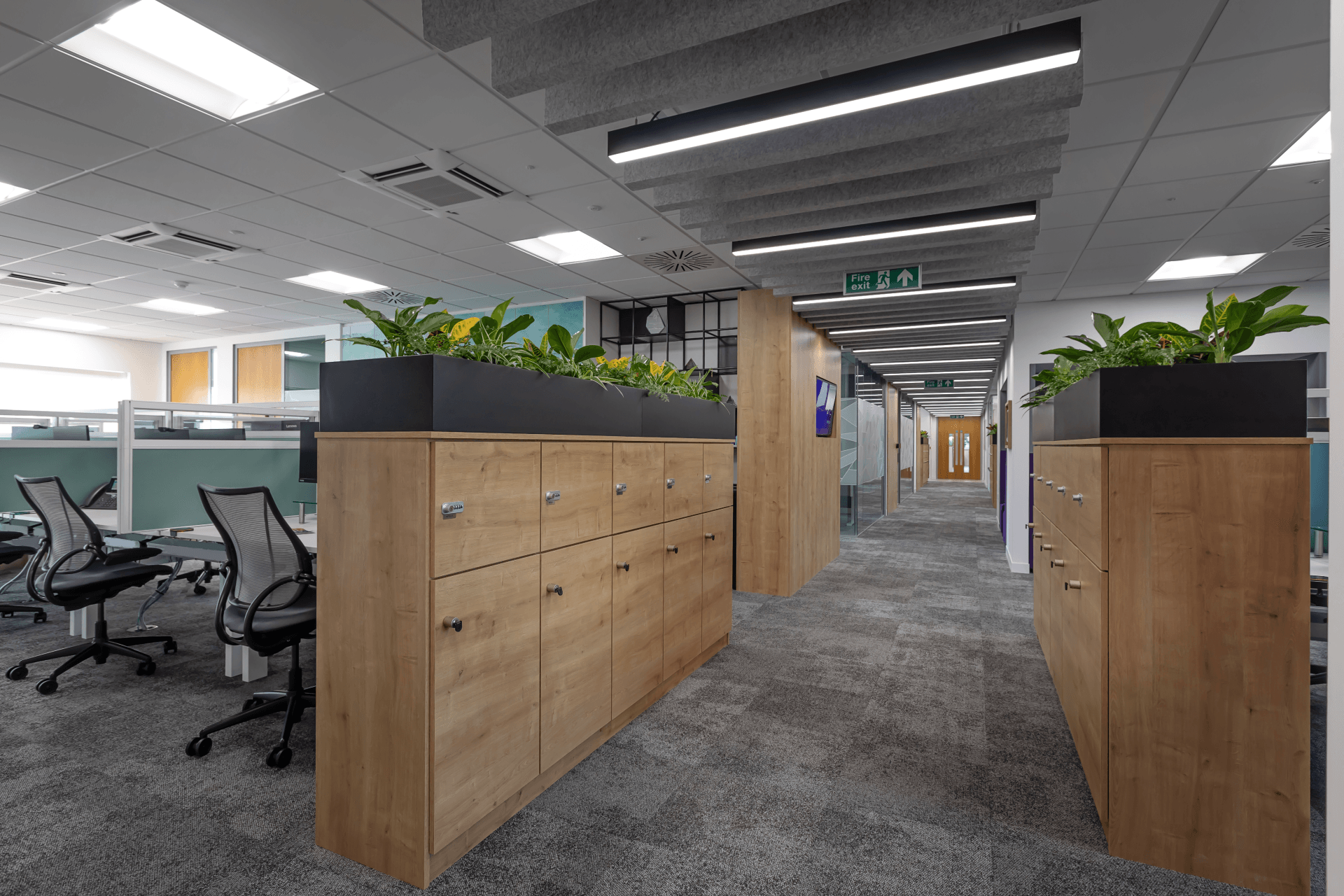 Office space with Grey carpets and biophilic partitions by Glenside