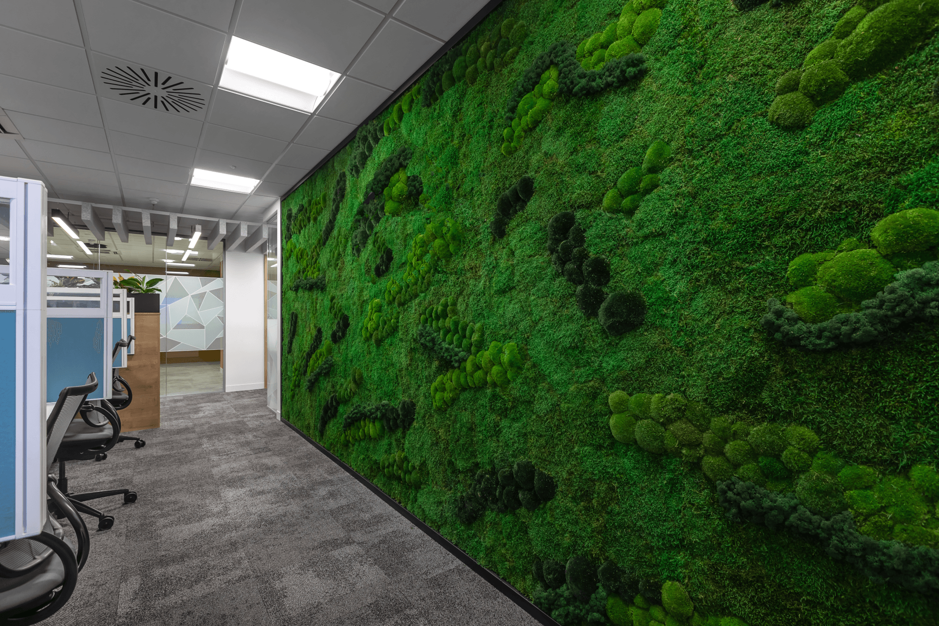 Plant wall by Glenside