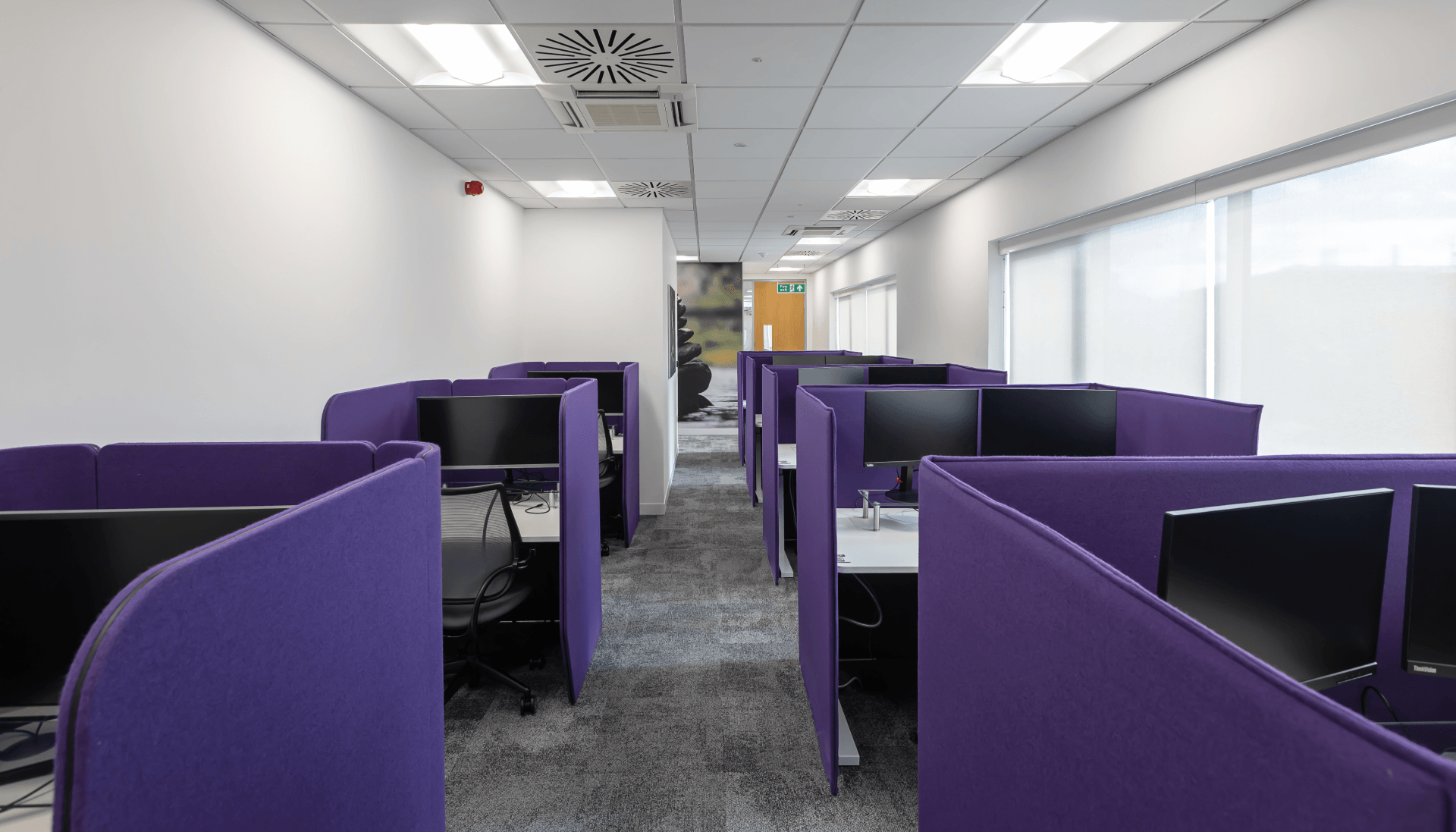A row of purple cubicles with computers in an office.