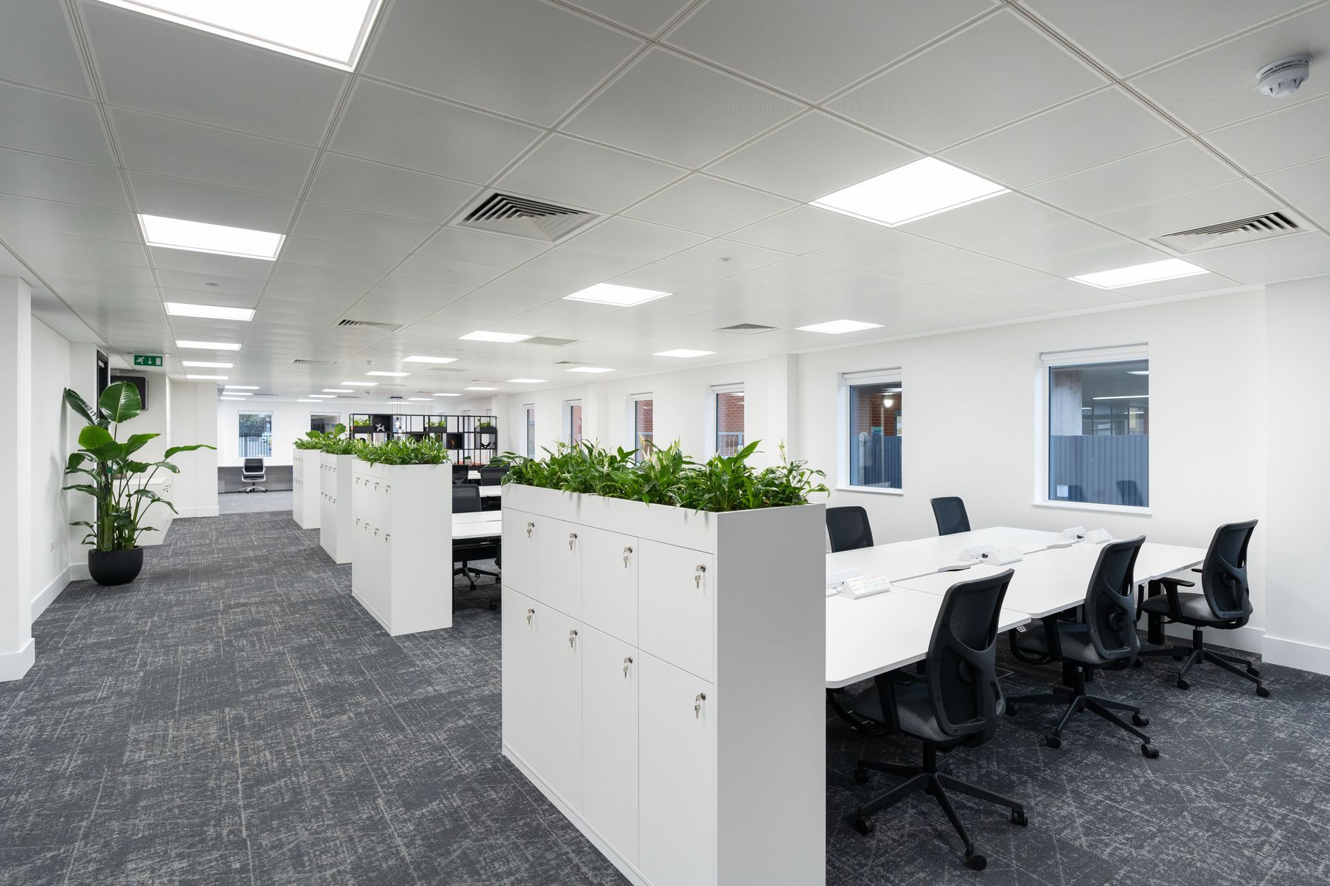 A bright, modern office space with white desks, grey carpets, dividers containing plants.