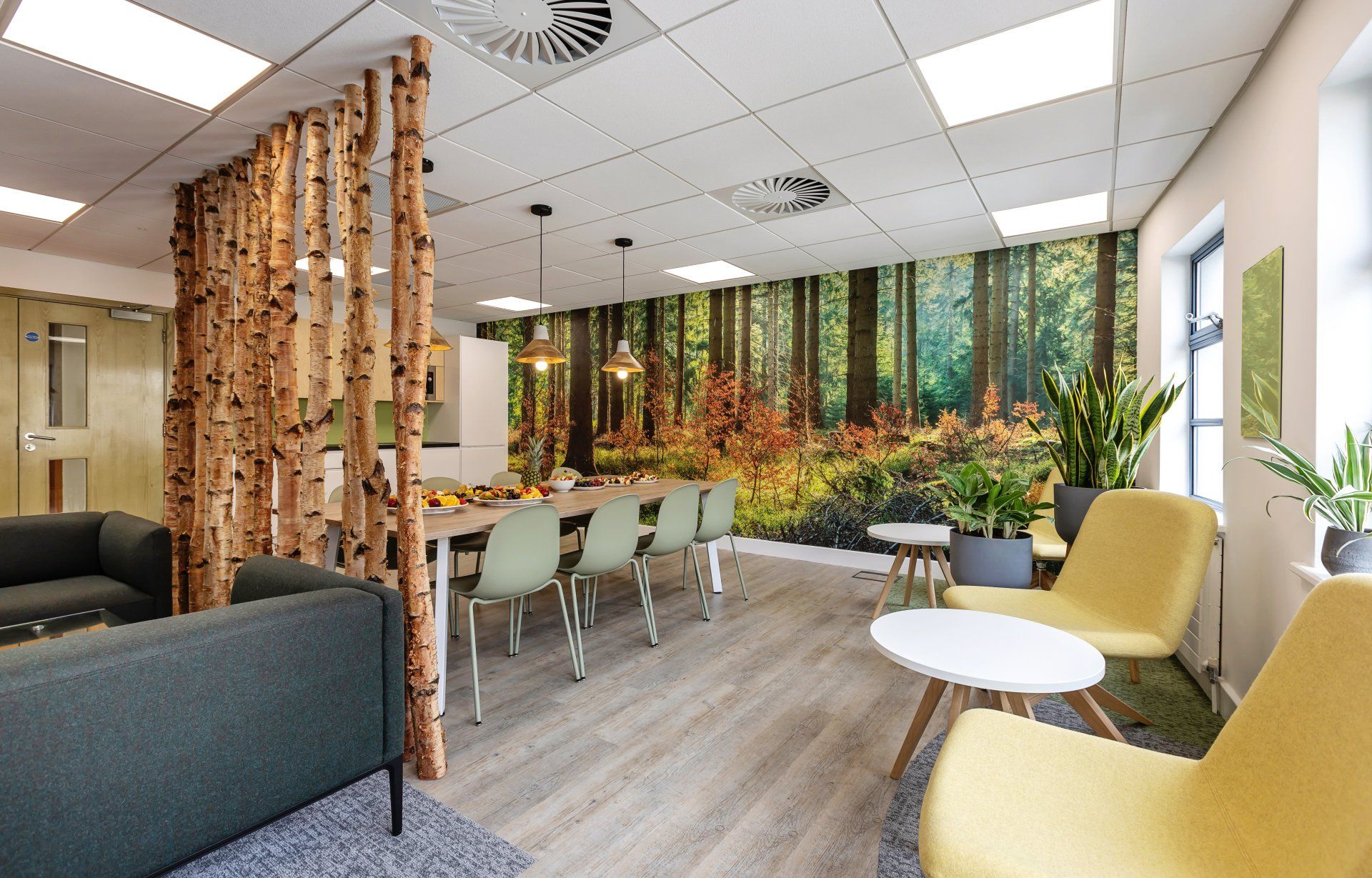 Breakout space with biophilic partition & feature wall by Glenside