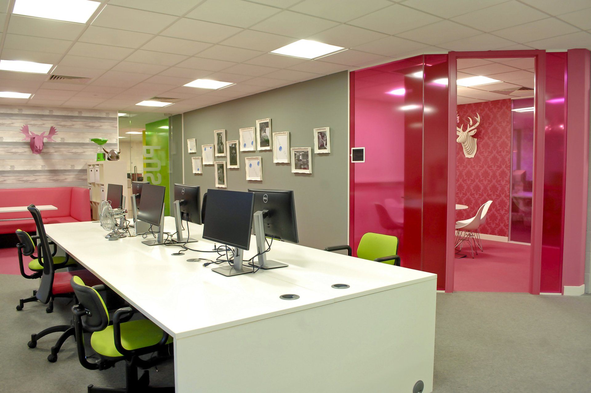 Office with pink and green websites by Glenside