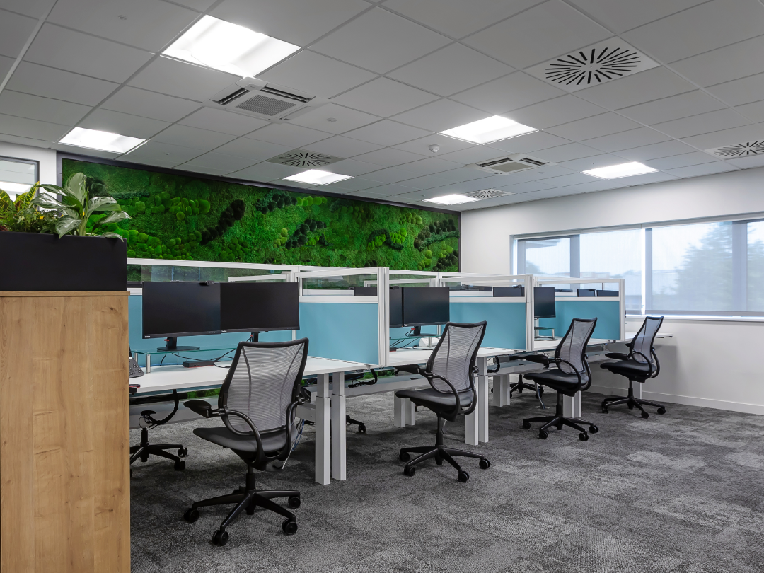 A row of desks and chairs in an office with a green wall behind them.