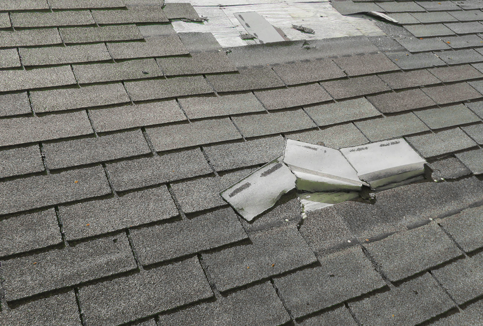 Damaged asphalt roof shingles with two sections of missing or torn material, revealing the white underlayment beneath.