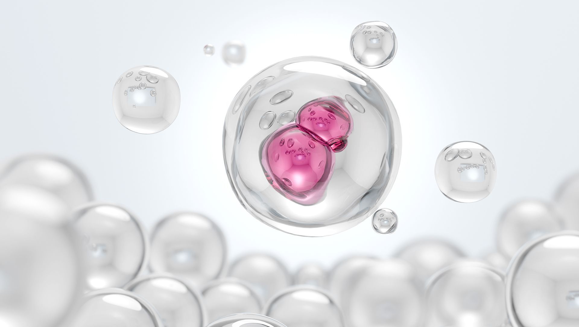 IV EXOSOMES FOR WELLNESS