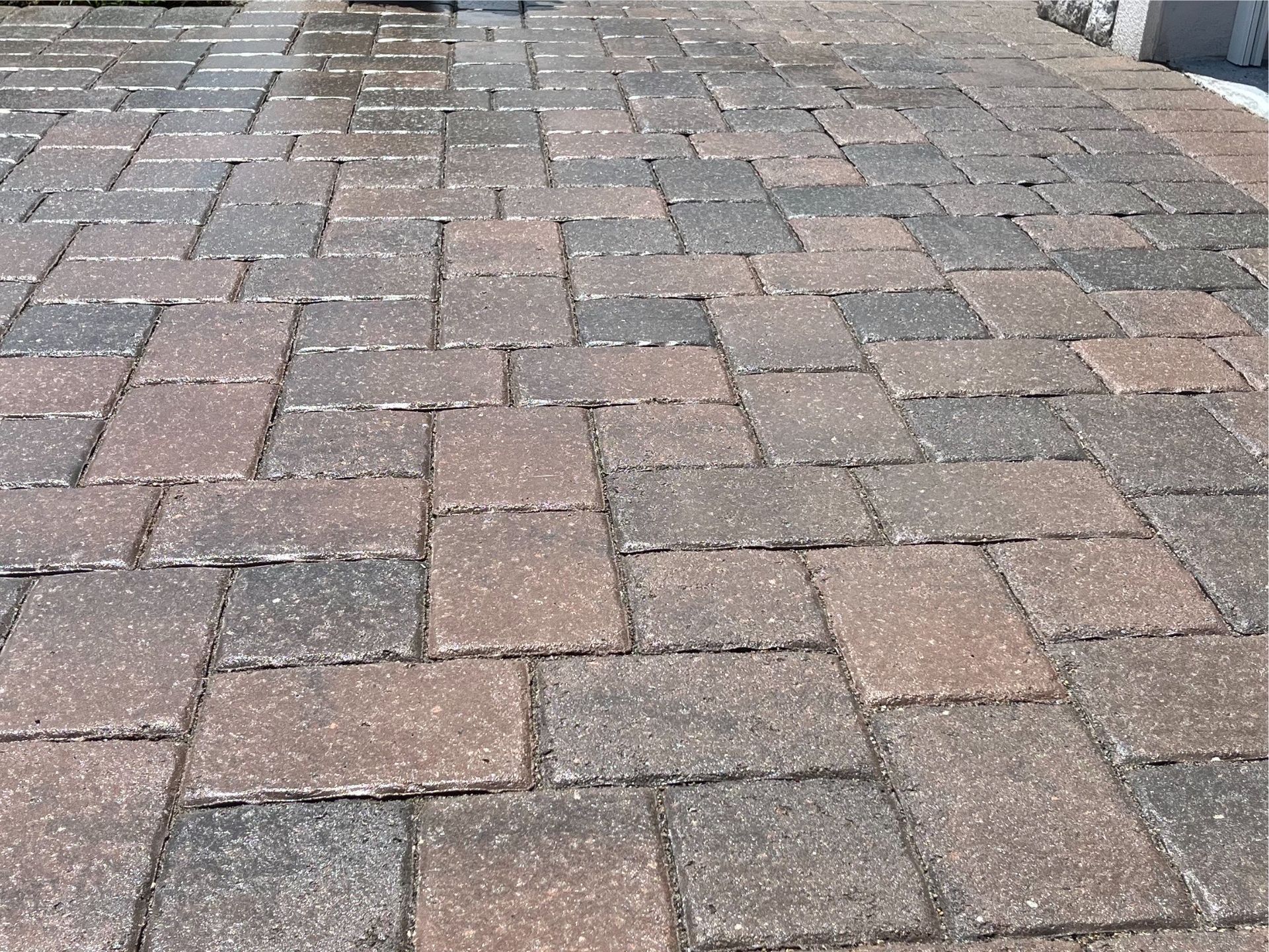 Wet paver driveway after professional paver cleaning services, ensuring long-lasting durability.