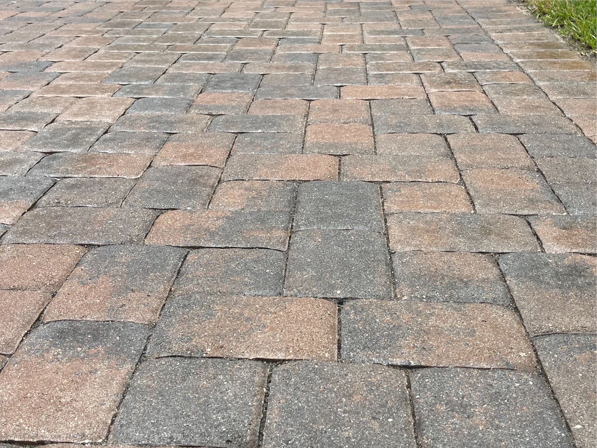 A close up of a brick walkway with a grassy area in the background.