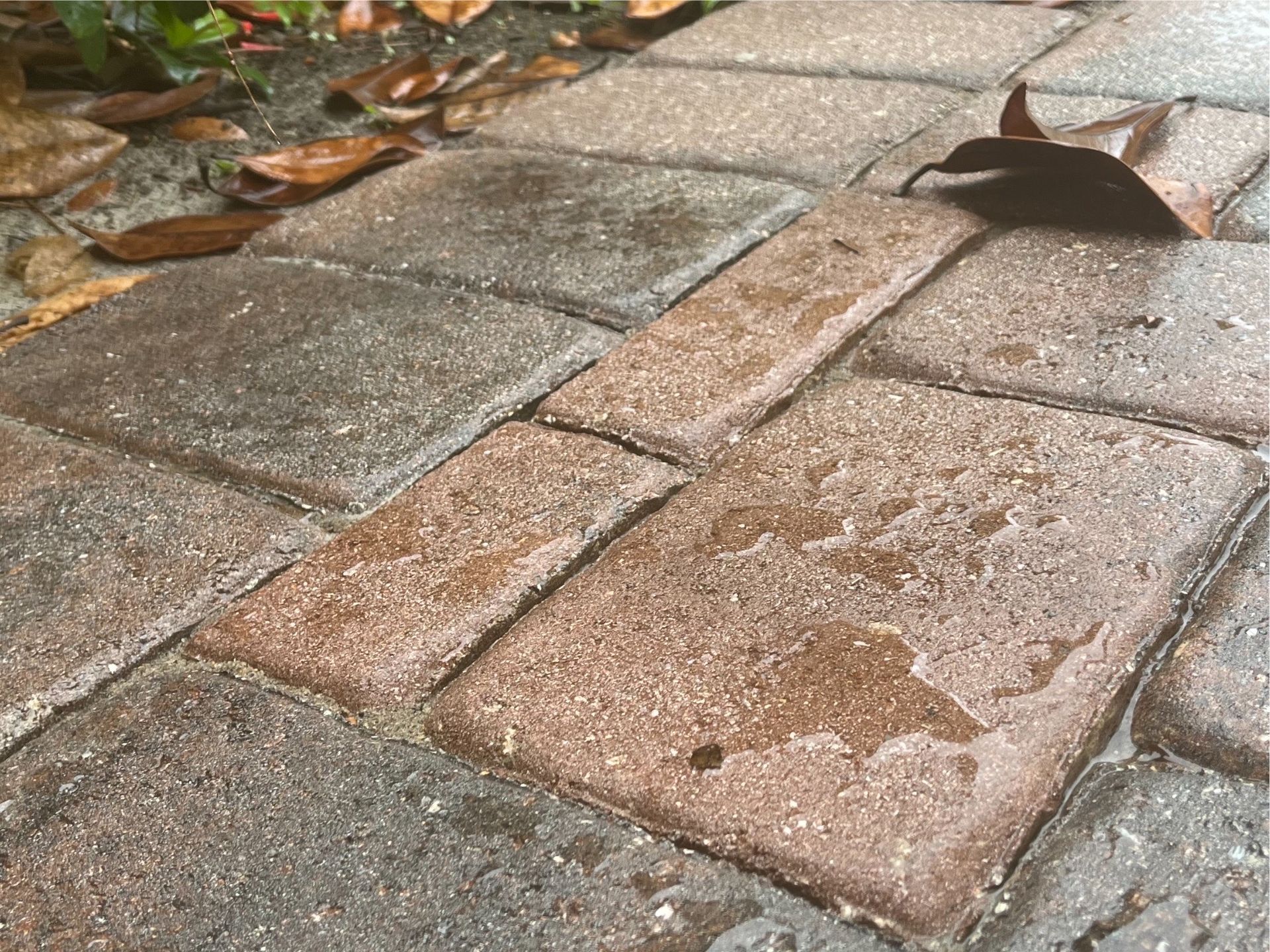 Brick driveway with a fresh sealant application, part of driveway paver sealing services.