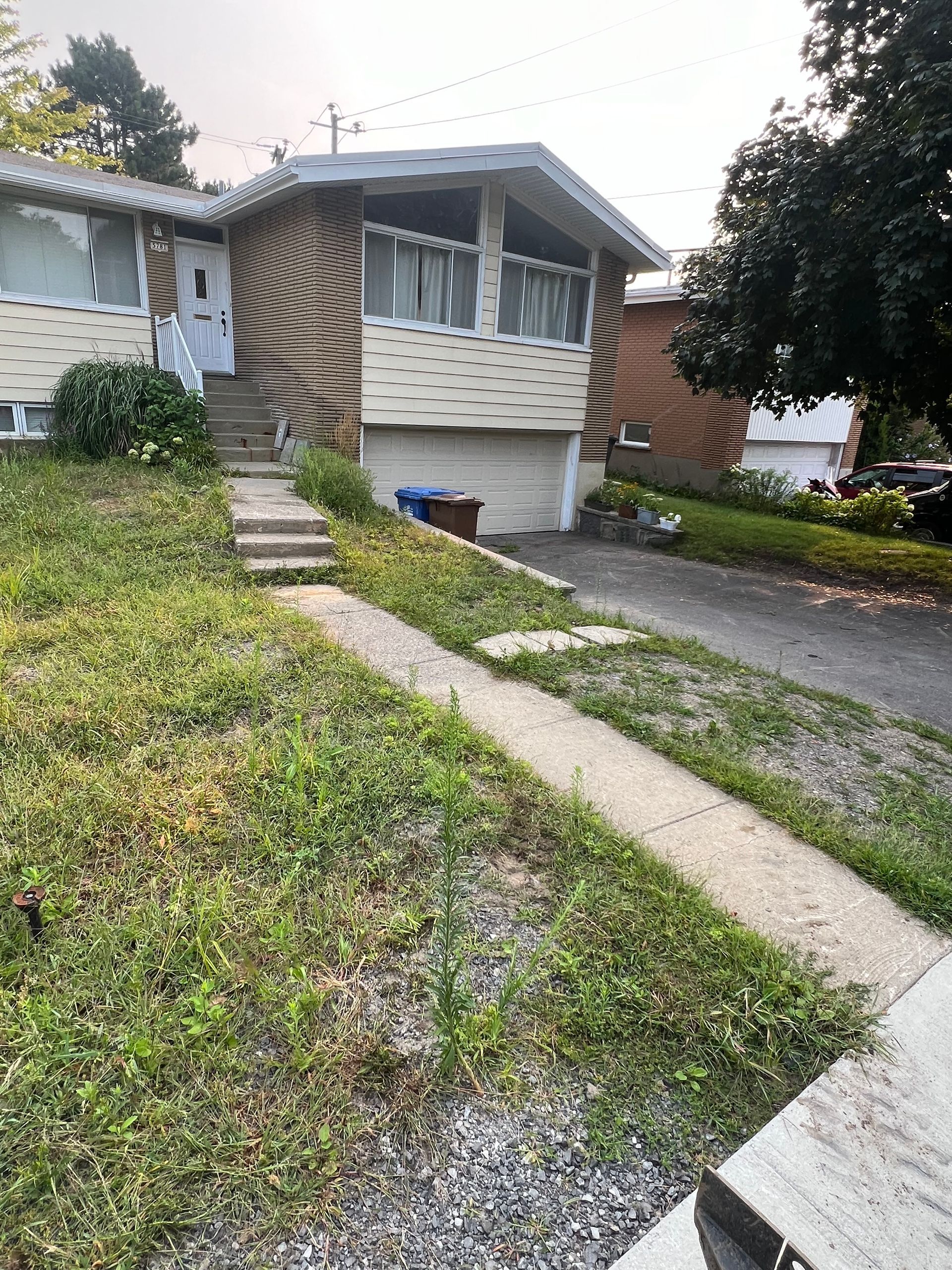 Une maison avec un imprimé zèbre sur le côté