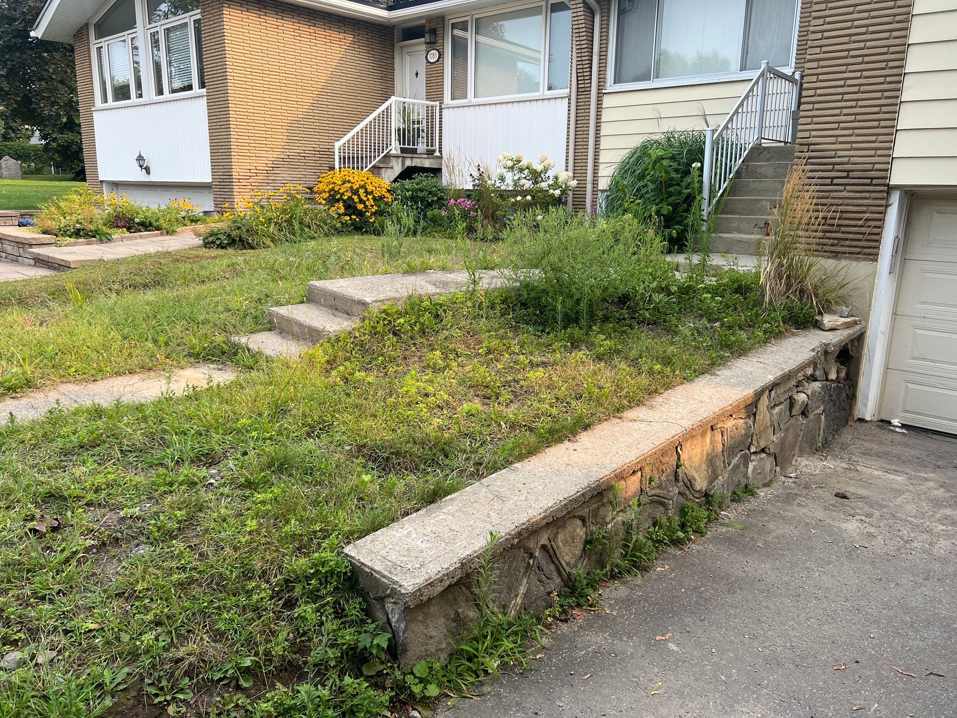 Une maison avec beaucoup de mauvaises herbes qui poussent devant.