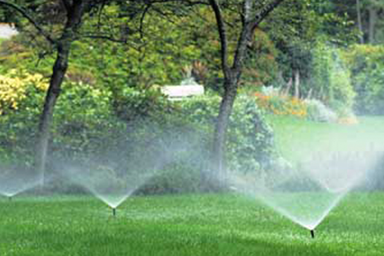 A couple of sprinklers spraying water on a lush green lawn.