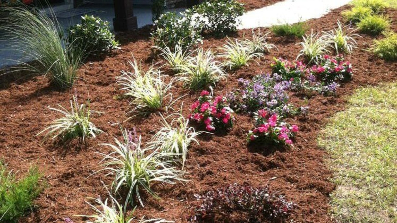 Flowerbed with various green and pink flowering plants and light brown mulch in Fayetteville, NC.