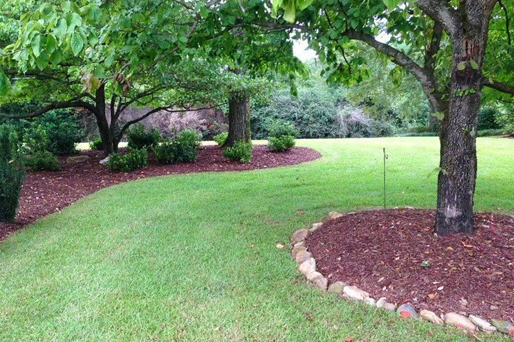 Contact Snow's Landscaping & Lawncare Inc Fayetteville, NC