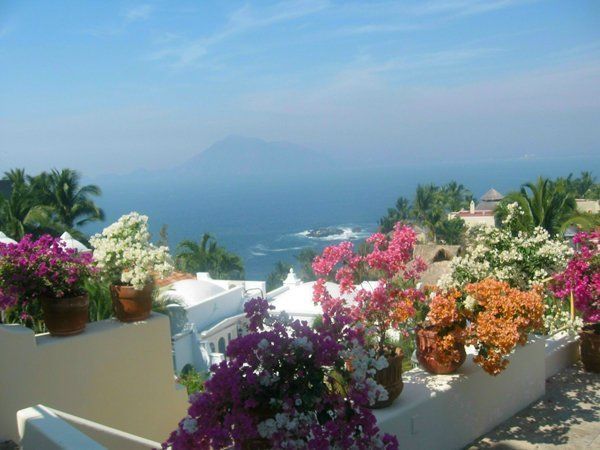 a balcony with flowers and a view of the ocean