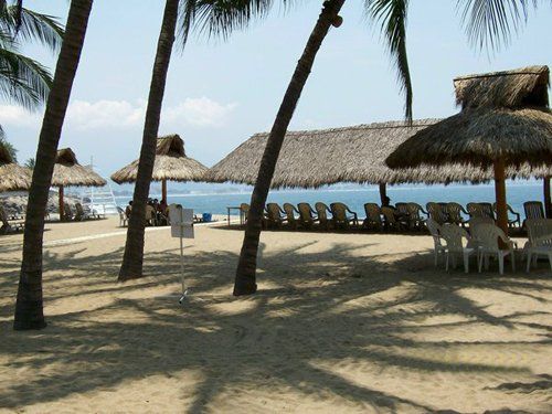 a beach with palm trees and thatched umbrellas