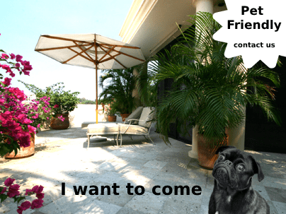 a black dog is sitting on a patio with a sign that says pet friendly contact us