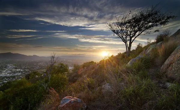 The Sun Is Setting Behind a Tree on Top of A Hill — T.N. Locke Communications In Woodstock, QLD